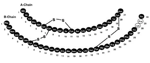 Humalyan 75-25
