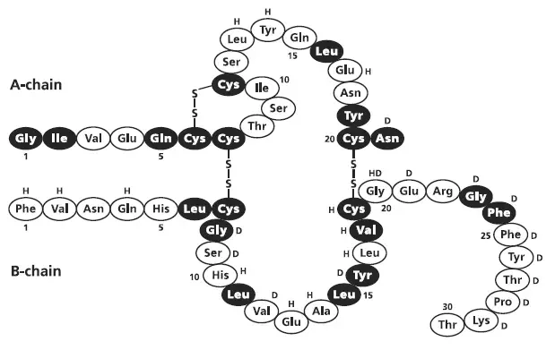 Novolin r