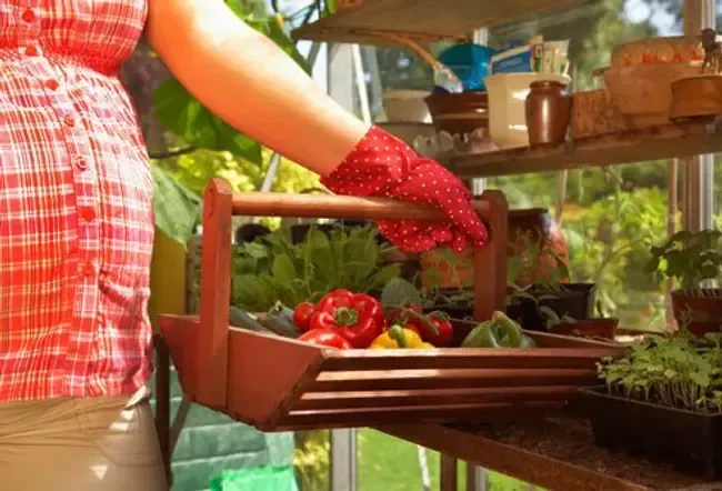 Parenting: 10 Tips for Eco-Friendly Parenting