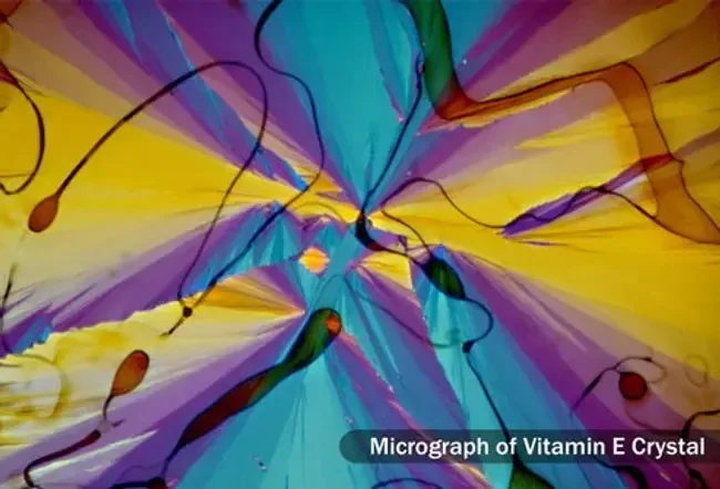 Vitamin E: Co potřebujete vědět