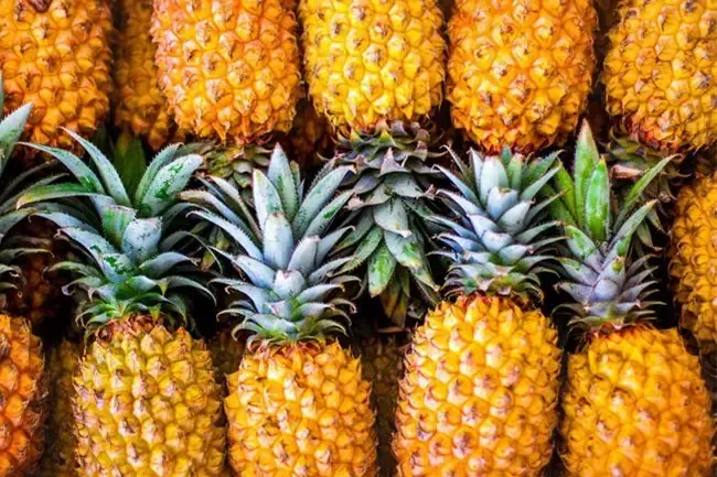 Diet and Nutrition: Health Benefits of Pineapple
