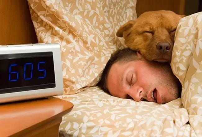 Søvncyklus: Hvad sker der, når du sover